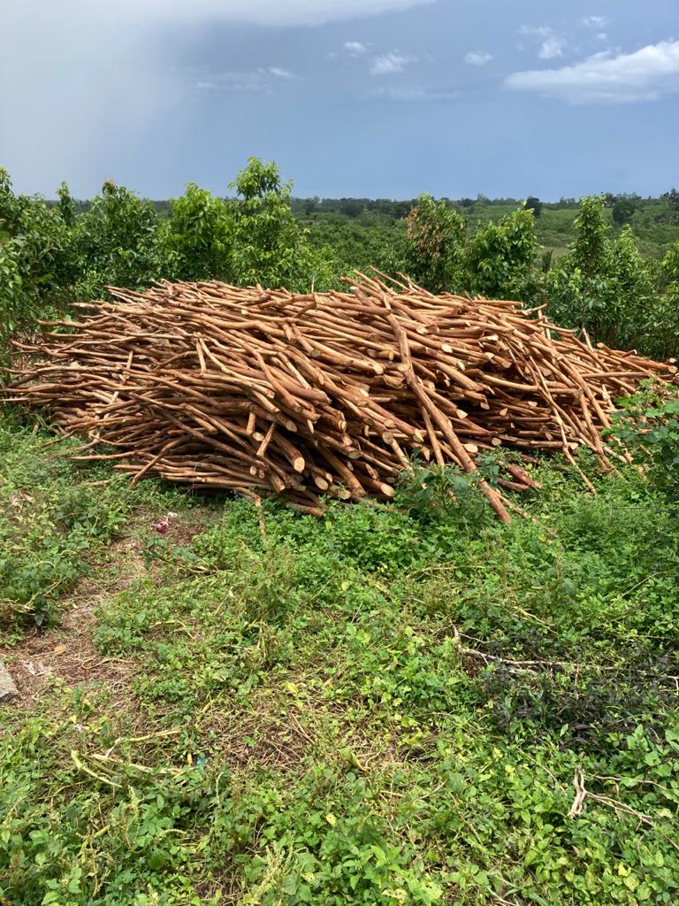 Uduwara Spices Estate View 1